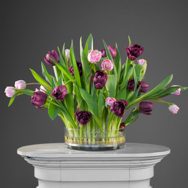 Tulipes mauves et roses arrangées à l'aide d'un Kenzan de 200 mm sur un piédestal blanc.