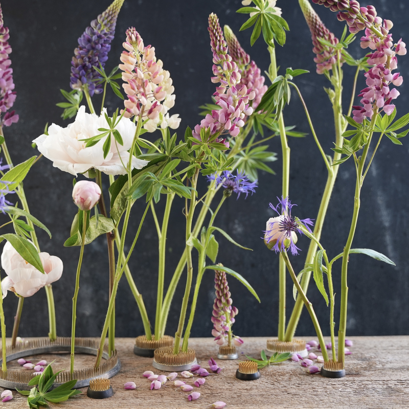 Des fleurs assorties, dont des lupins et des roses, sont élégamment présentées sur un anneau Hanataba kenzan de 34 mm, sur un fond sombre avec des pétales éparpillés sur la surface.