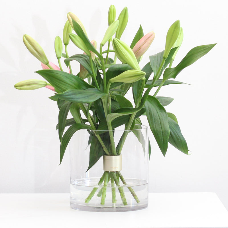 Arrangement de lys roses bourgeonnants organisés dans un vase transparent avec un support de tiges en spirale Hanataba or champagne à la base, sur un fond blanc.