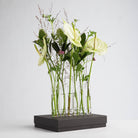 Arrangement floral minimaliste composé de fleurs vertes et blanches hautes et élancées, y compris des anthuriums et de la verdure dans des vases à fleurs en verre sur une boîte d'emballage rectangulaire noire, sur un fond blanc uni.