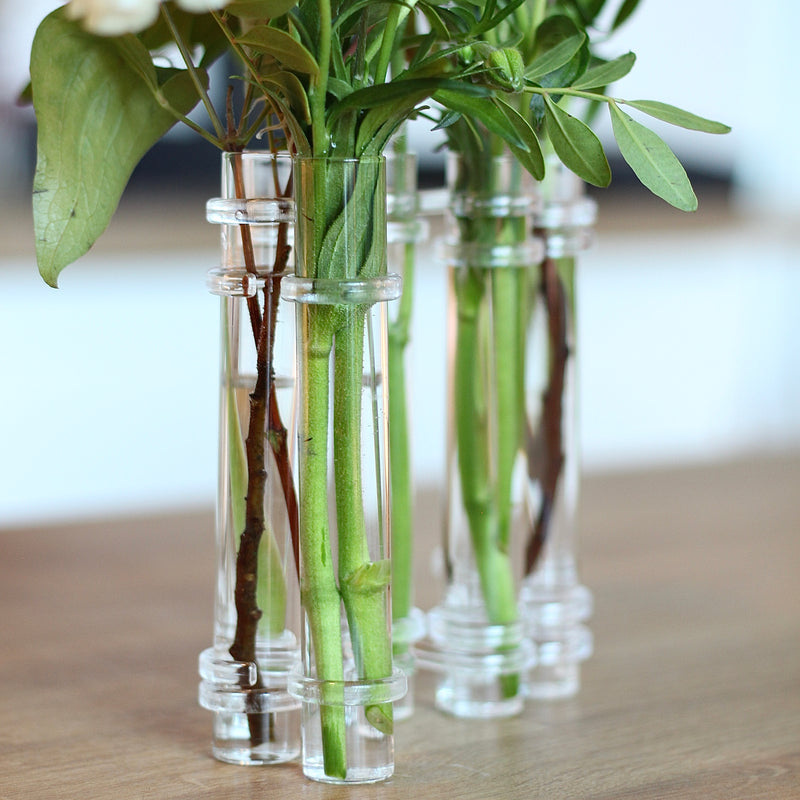 Élégant vase Flowerflute transparent de Hanataba, présentant un trio de tiges avec un feuillage vert luxuriant.