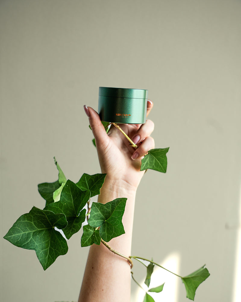 Une main recouverte de vernis à ongles rose tient une tordeuse de bouquet Hanataba Ivy Green avec le logo imprimé en or. La main tient également des feuilles de lierre luxuriantes et l'arrière-plan est un mur vert clair avec une belle lumière du jour.