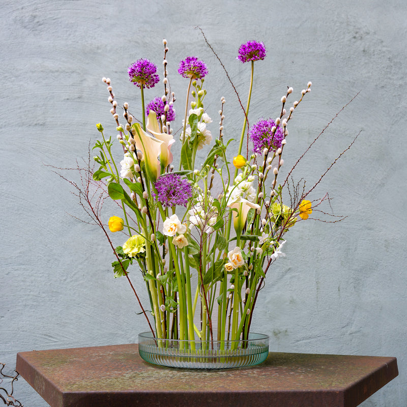 Un arrangement ikebana diversifié avec des alliums, des lys calla et des saules nains, ancré par un anneau Kenzan Fakir de 200 mm, sur un fond gris texturé.