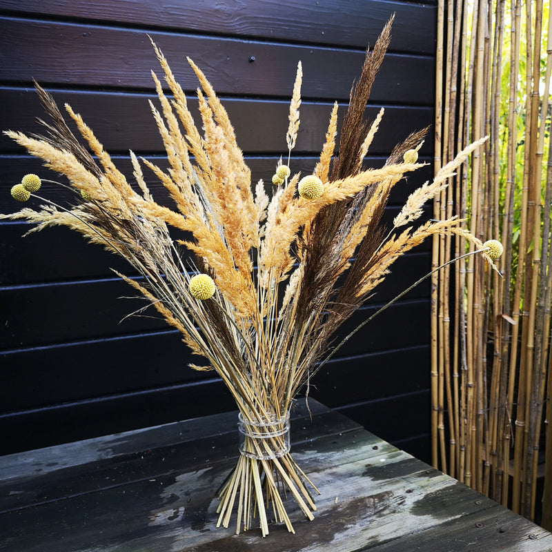 Arrangement inspiré de l'Ikebana avec de l'herbe de la pampa dorée et du craspedia globosa attachés avec un support de tige en spirale Hanataba sur un fond de bois sombre.