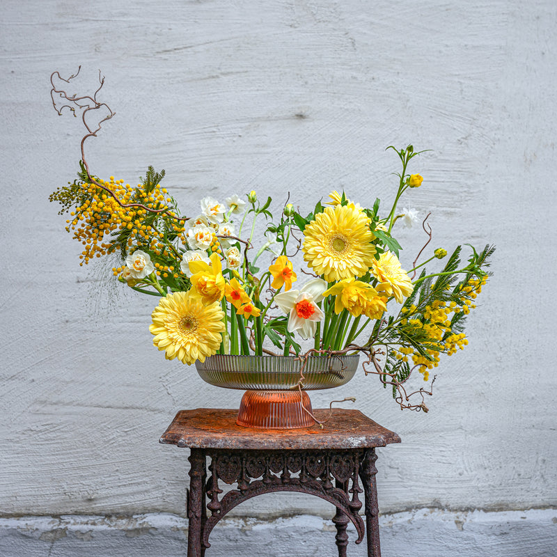 Un arrangement floral vibrant composé de gerberas jaunes, de jonquilles et de mimosa, ancré par un anneau Kenzan Fakir de 200 mm contre un mur blanc sur une table antique.