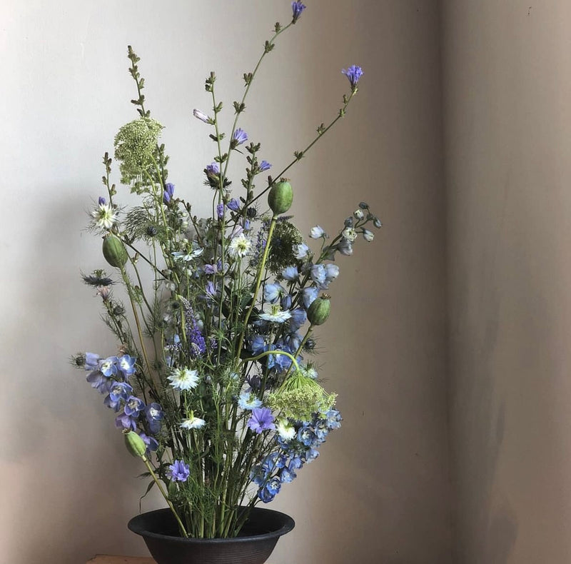 Un mélange éclectique de fleurs sauvages bleues et blanches avec de la verdure délicate, présentées dans un bol sombre sur un anneau de kenzan, sur un fond neutre.