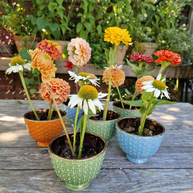 Diverses fleurs de dahlias et d'échinacées dans des pots en céramique texturée, chacune ancrée par un anneau Kenzan de 34 mm.