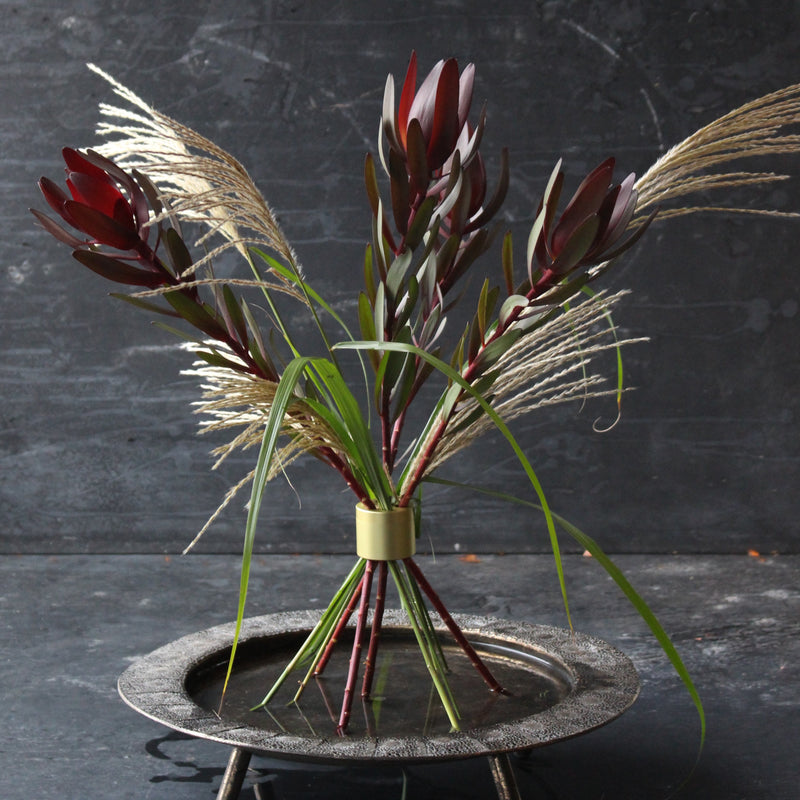 Bouquet exotique de leucadendrons rouges et d'herbes de la pampa fixé par une torsade Hanataba or champagne, sur un fond sombre.