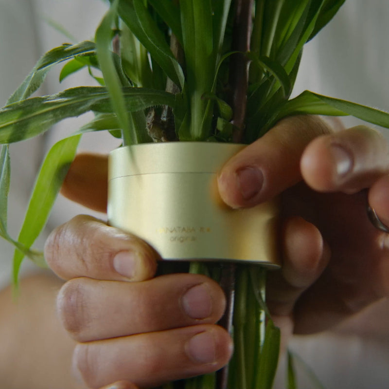 Gros plan sur des mains qui ajustent une torsade de bouquet Hanataba Champagne Gold autour d'un bouquet de tiges vertes, soulignant l'élégance unique de la composition.