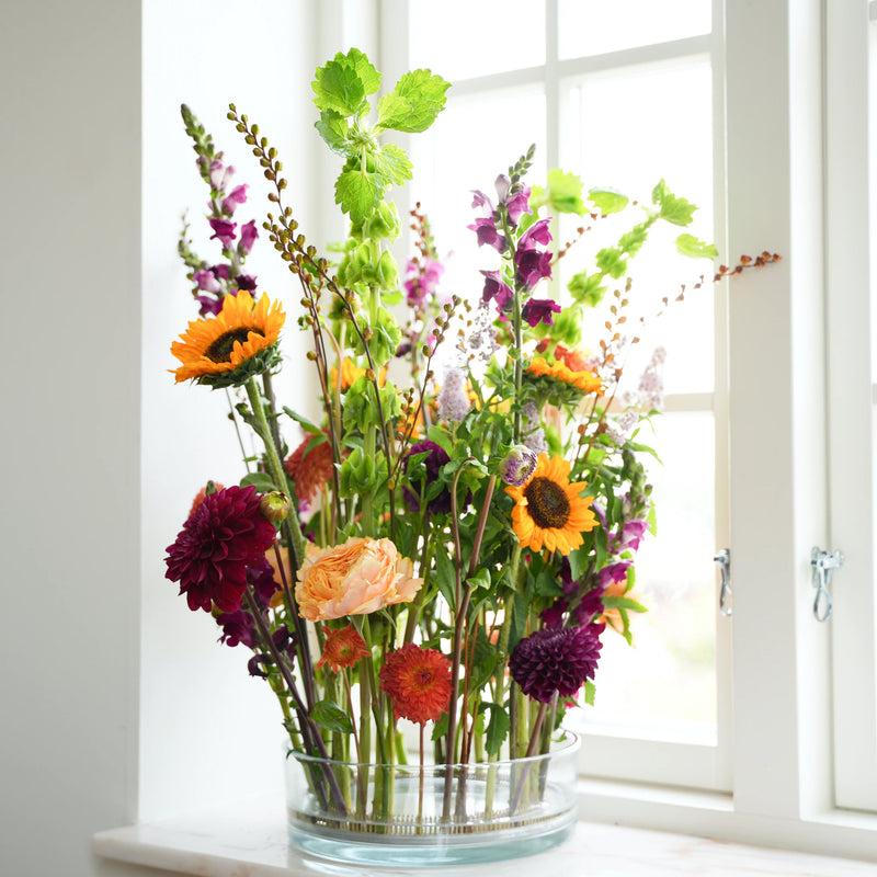  Une composition luxuriante et colorée de fleurs mélangées, comprenant des calendulas orange, des mufliers violets et des dahlias rouge foncé, fixée par un anneau Kenzan de 200 mm sur un rebord de fenêtre, éclairé par la lumière naturelle.