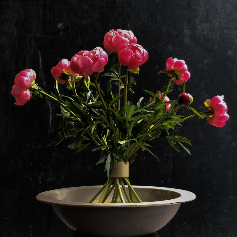 Pivoines roses éclatantes disposées dans un tordeur de bouquet Hanataba en or champagne, placé dans un bol peu profond, sur un fond texturé sombre.